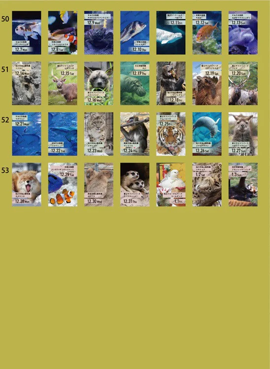 Zdjęcie produktu 10